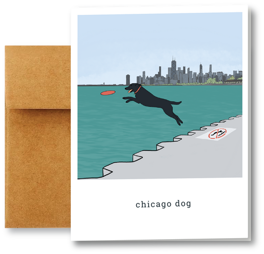 CHICAGO DOG  |  LEDGES